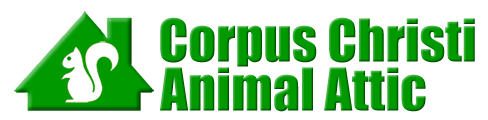 Corpus Christi Animal Attic